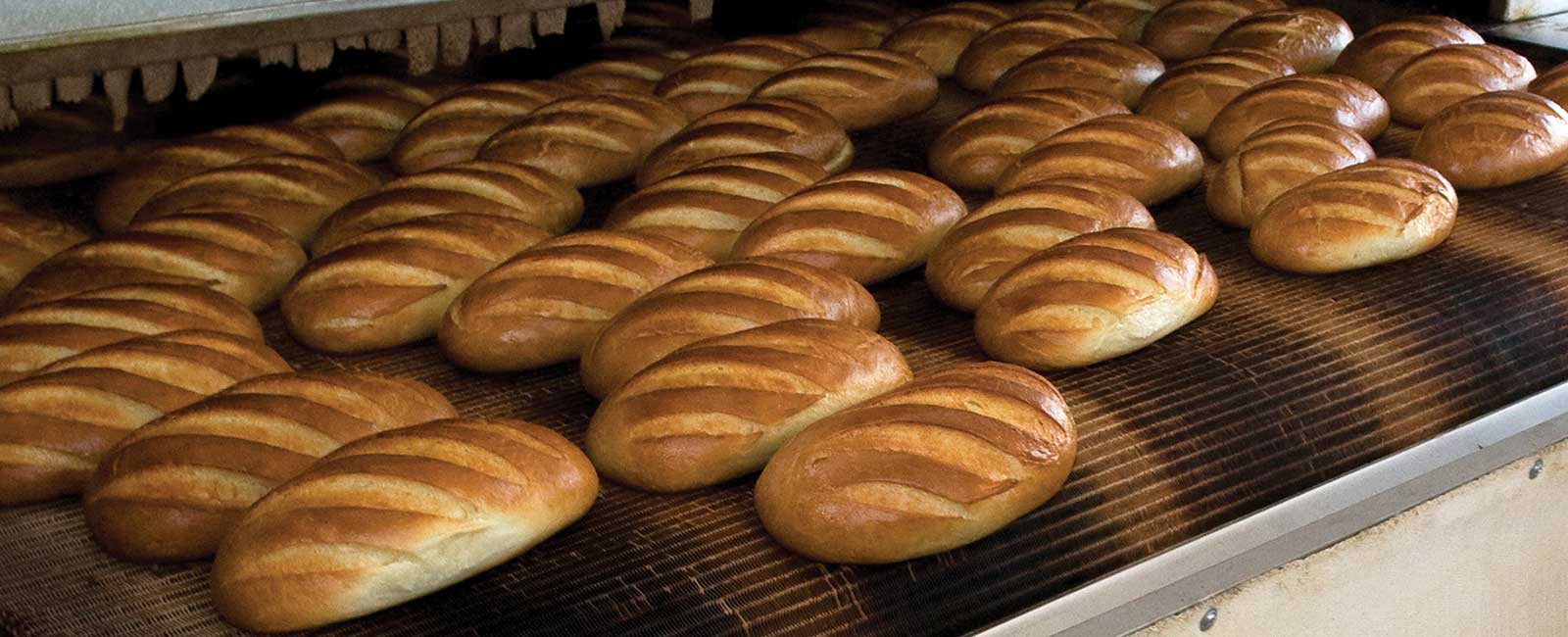 Loaves of bread in an industrial oven.